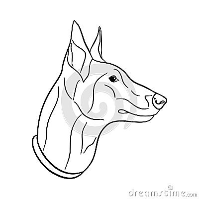 The Malinois dog head is isolated on white background, the line art Vector Illustration