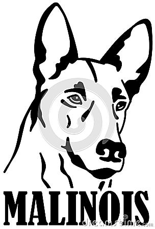 Malinois head with name Stock Photo