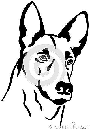 Malinois head black and white Vector Illustration