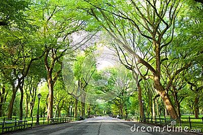 The Mall in Central Park Stock Photo