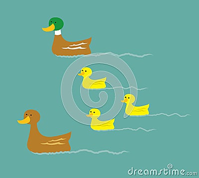 Mallard Duck Family Vector Illustration