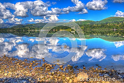 Mallard duck Lake District Cumbria England UK Ullswater water like glass hdr Stock Photo