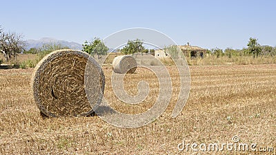 Mallorca field in summer with straw bales Editorial Stock Photo