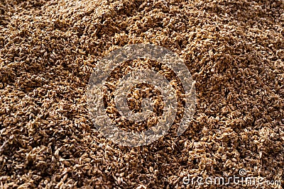 Malt grains fermenting Stock Photo