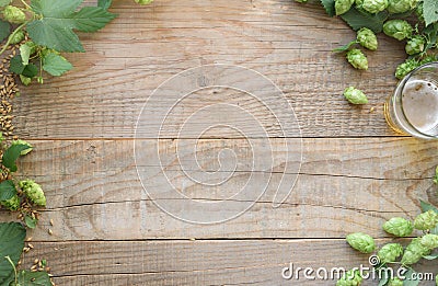 Malt and hops craft beer background with copy space Stock Photo