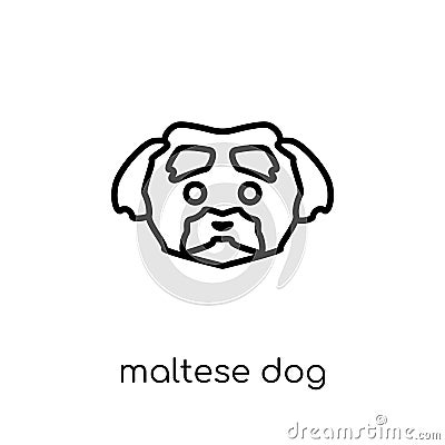 Maltese dog icon. Trendy modern flat linear vector Maltese dog i Vector Illustration