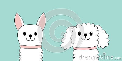 Maltese poodle chihuahua toy terrier dog puppy face head set. White lapdog. Animal icon. Cute kawaii cartoon funny character. Pet Vector Illustration