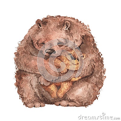 Mama bear and baby bear. Cartoon Illustration