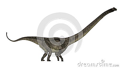 Mamenchisaurus dinosaur walk - 3D render Stock Photo