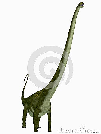 Mamenchisaurus hochuanensis Dinosaur Stock Photo