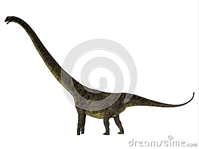 Mamenchisaurus youngi Dinosaur Side Profile Stock Photo