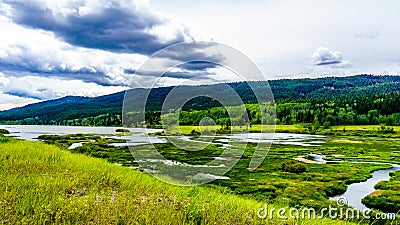 Mamit Lake along Highway 97C Stock Photo