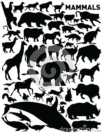 Mammals Vector Illustration