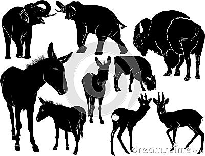 Mammals animals Vector Illustration