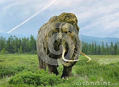 Mammoth cloning. Stock Photo