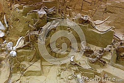 Mammoth dig site in South Dakota Editorial Stock Photo