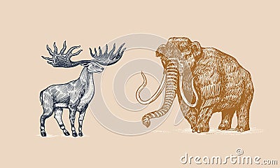 Mammoth or extinct elephant and Irish elk or Giant deer or Great Horn. Trunked mammals or proboscideans. Large animal Vector Illustration