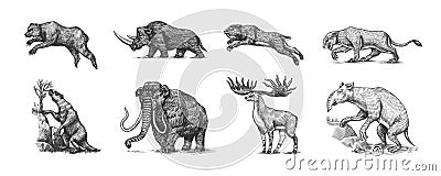 Mammoth or extinct elephant, Woolly rhinoceros Cave bear lion. Panthera Saber toothed tiger, Irish elk or deer, Ground Vector Illustration