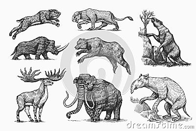 Mammoth or extinct elephant, Woolly rhinoceros Cave bear lion. Panthera Saber toothed tiger, Irish elk or deer, Ground Vector Illustration