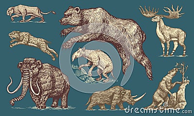 Mammoth or extinct elephant, Woolly rhinoceros Cave bear lion. Panthera Saber toothed tiger, Irish elk or deer, Ground Vector Illustration