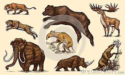 Mammoth or extinct elephant, Woolly rhinoceros Cave bear lion. Panthera Saber toothed tiger, Irish elk or deer, Ground Vector Illustration