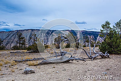 Mammoth hot spring in Yellowstone NationalPark Stock Photo