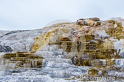 Mammoth hot spring in Yellowstone NationalPark Stock Photo