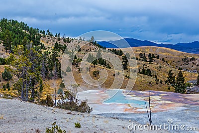 Mammoth hot spring in Yellowstone NationalPark Stock Photo