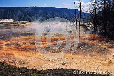 Mammoth Hot Springs on hill peak, Yellowstone Stock Photo