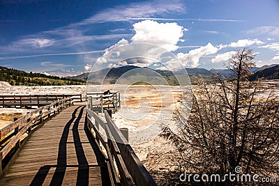 Mammoth Hot Springs terrace Stock Photo