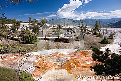 Mammoth Hot Springs Terrace Stock Photo