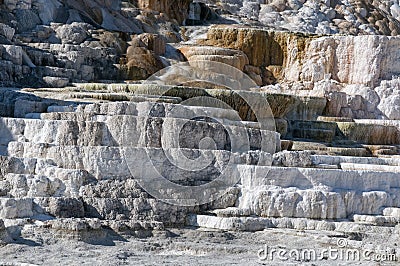 Mammouth hot springs Stock Photo