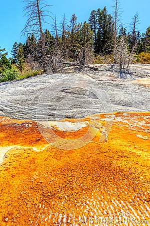 Mammoth Hot Springs at Yellowstone National Park in Wyoming, USA Stock Photo