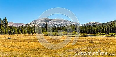 Mammoth Peak from Dana Fork Stock Photo