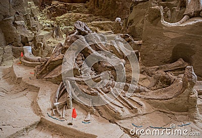 Mammoth Site Stock Photo