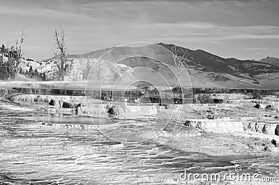 Mammouth hot springs Stock Photo