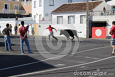 A man attempts to outrun a bull Editorial Stock Photo