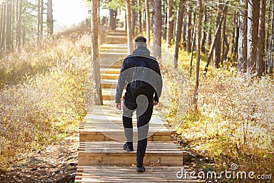 A man with a backpack up the stairs in the woods. Sunny wood. Wooden staircase Stock Photo