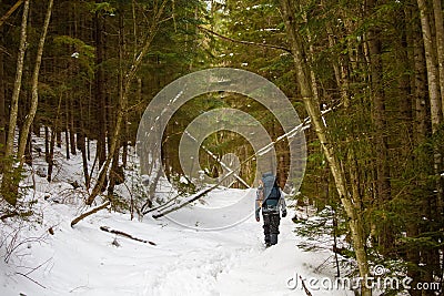 Man is backpacking in winter forest Stock Photo