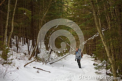 Man is backpacking in winter forest Stock Photo