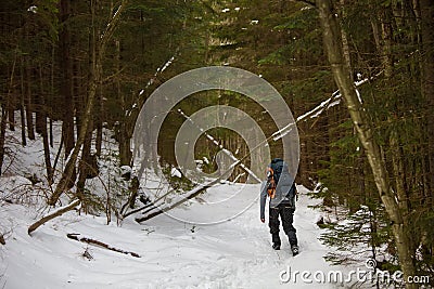 Man is backpacking in winter forest Stock Photo