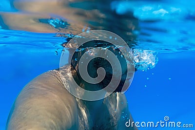 Man with Beard Underwater swimming pool Young beard man with glasses Underwater Stock Photo