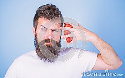 Man bearded hipster hold hand with strawberries near face. Man can not think about anything but strawberry blue Stock Photo