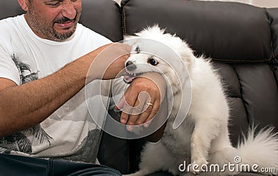 Man attacked by dog Stock Photo