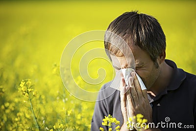 Man blowing his nose in canola field Stock Photo