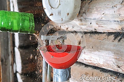 A man blows nuts from small debris using DIY device to extract cedar nuts from Siberian pine cones. Stock Photo