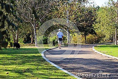 A man in a blue shirt walking his dogs down a long smooth winding footpath in the park Editorial Stock Photo