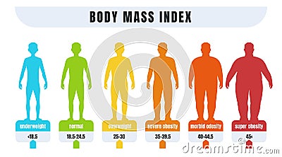 Man BMI. Body mass index infographics for male with normal weight and obesity. Fat and skinny silhouettes. Diagram for Vector Illustration