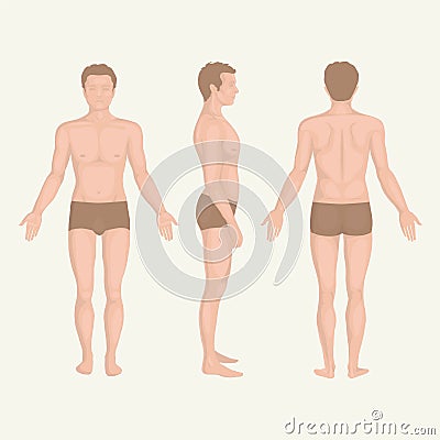 Man body anatomy, front, back and side Vector Illustration