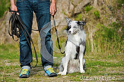 Man with a border collie dog Stock Photo